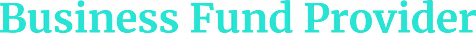 Business Fund Provider